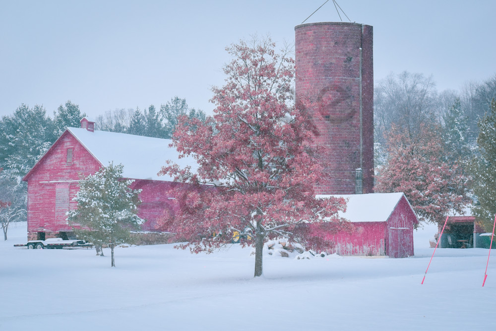 December 2025 937 Photography Art | Photos By Regan