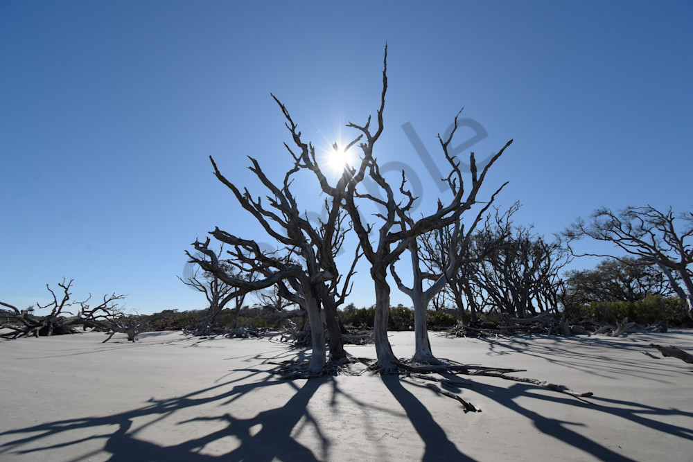 February 2025 15 Photography Art | Photos By Regan