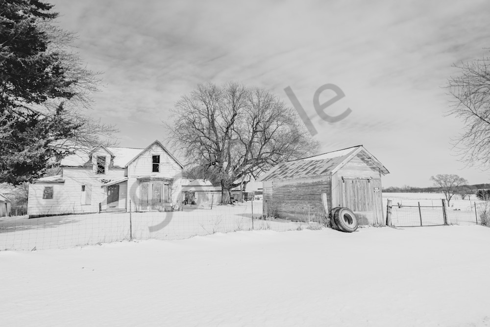 February 2025 200 Photography Art | Photos By Regan