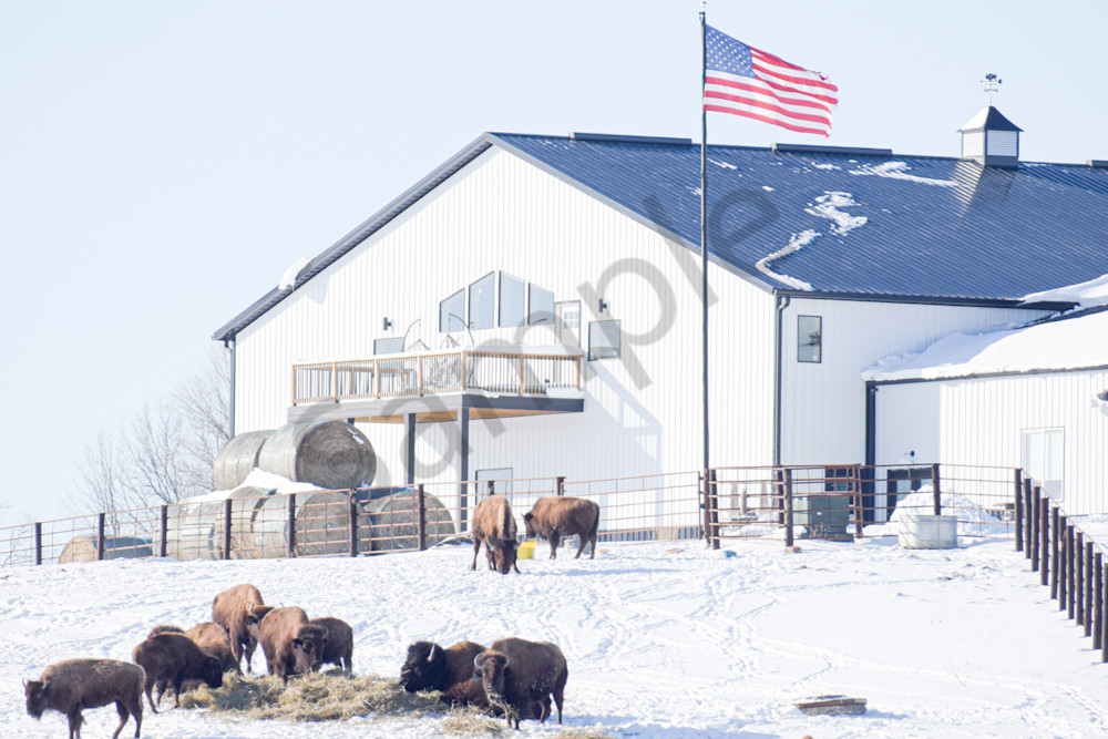 February 2025 246 Photography Art | Photos By Regan