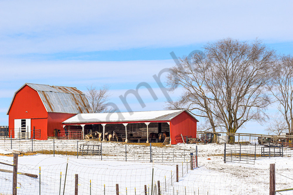 February 2025 211 Photography Art | Photos By Regan