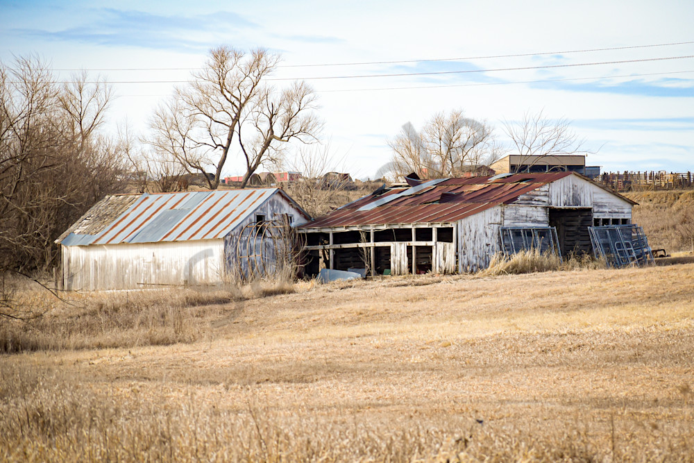 February 2025 282 Photography Art | Photos By Regan