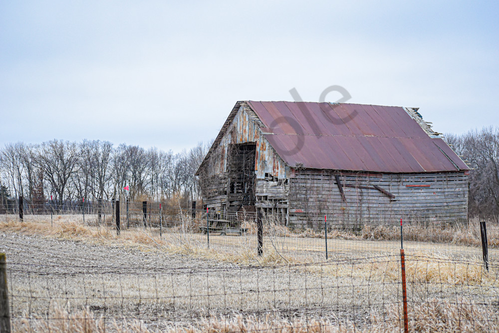 February 2025 328 Photography Art | Photos By Regan