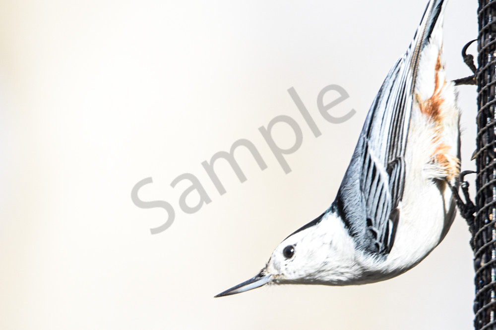 January 2025 34 Photography Art | Photos By Regan