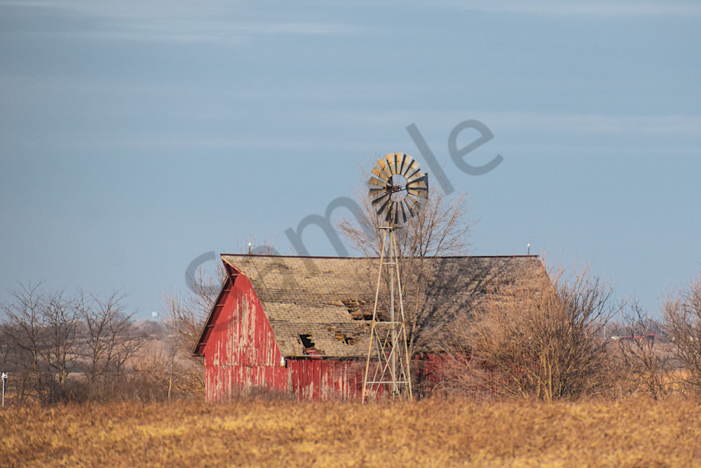 January 2025 81 Photography Art | Photos By Regan