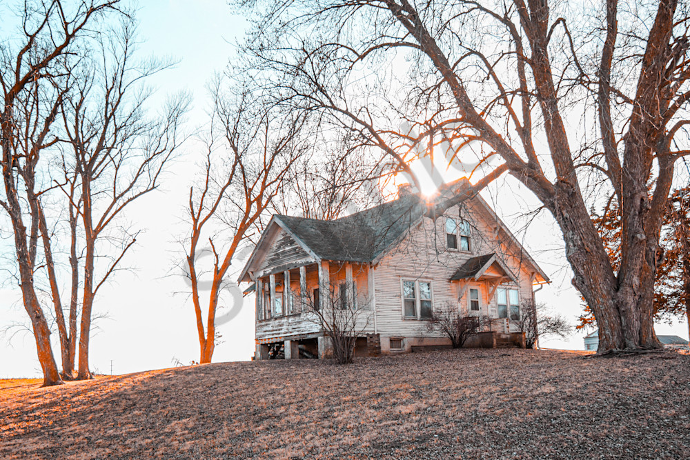 January 2025 86 Photography Art | Photos By Regan