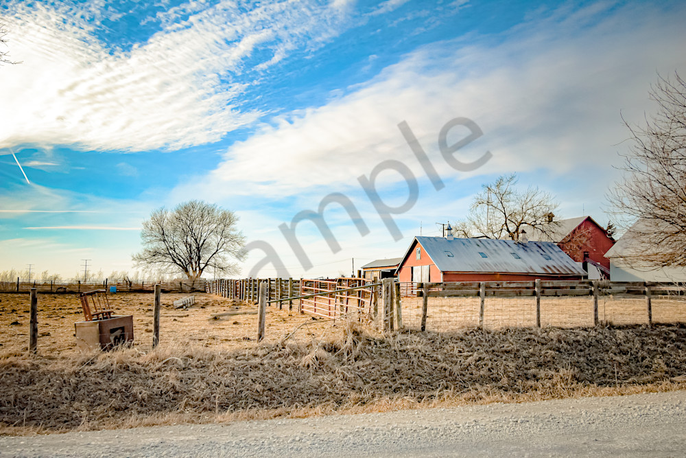 January 2025 90 Photography Art | Photos By Regan