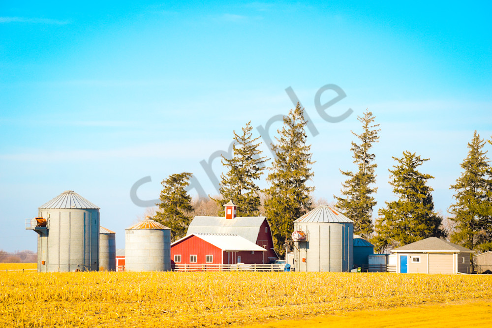 January 2025 168 Photography Art | Photos By Regan