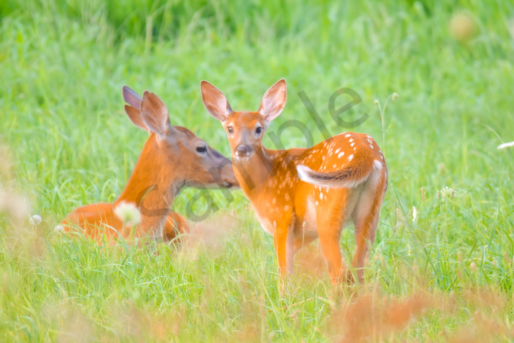 July 2025 23 Photography Art | Photos By Regan