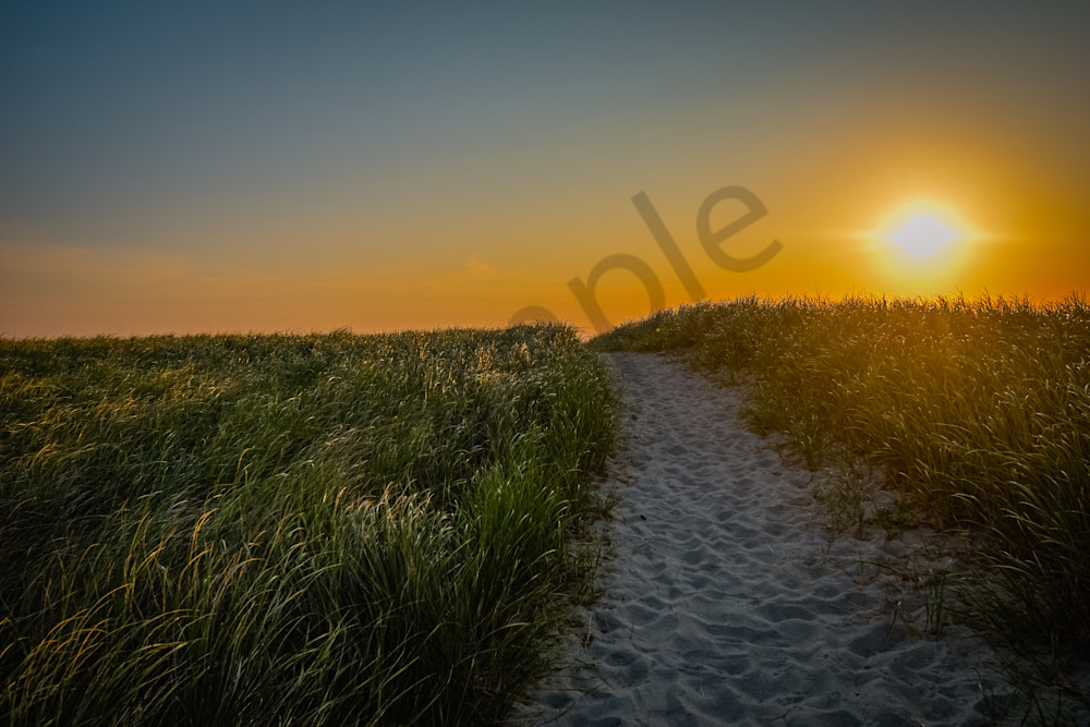 July 2025 99 Photography Art | Photos By Regan