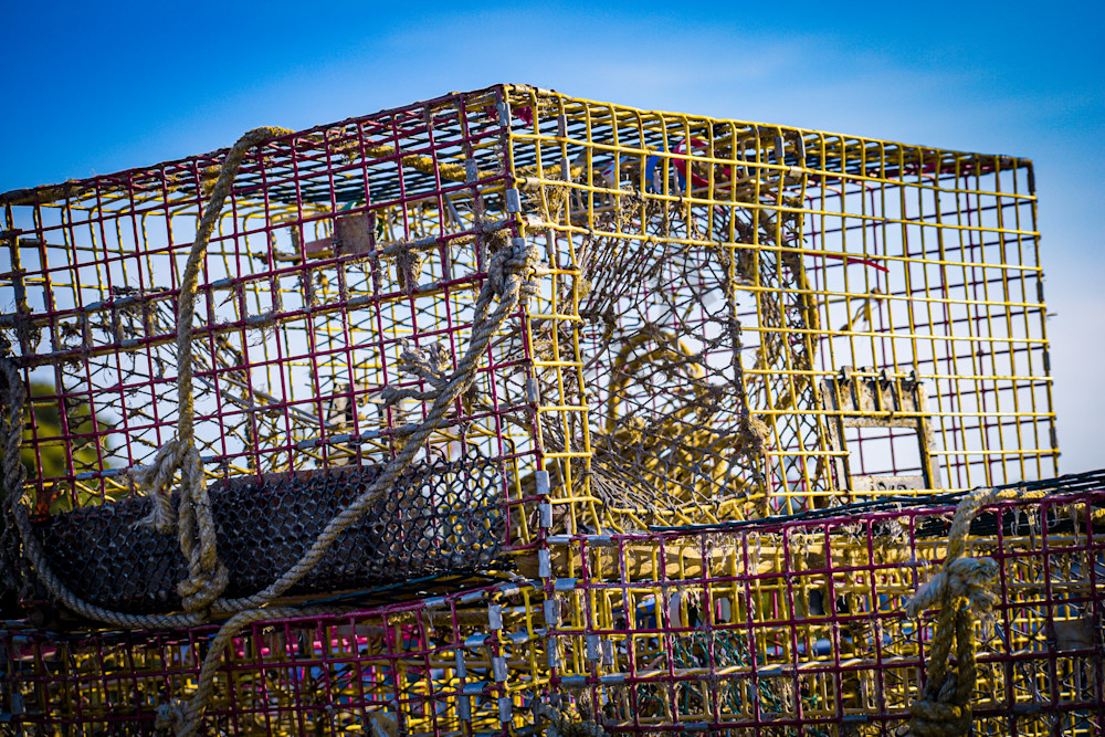 July 2025 120 Photography Art | Photos By Regan