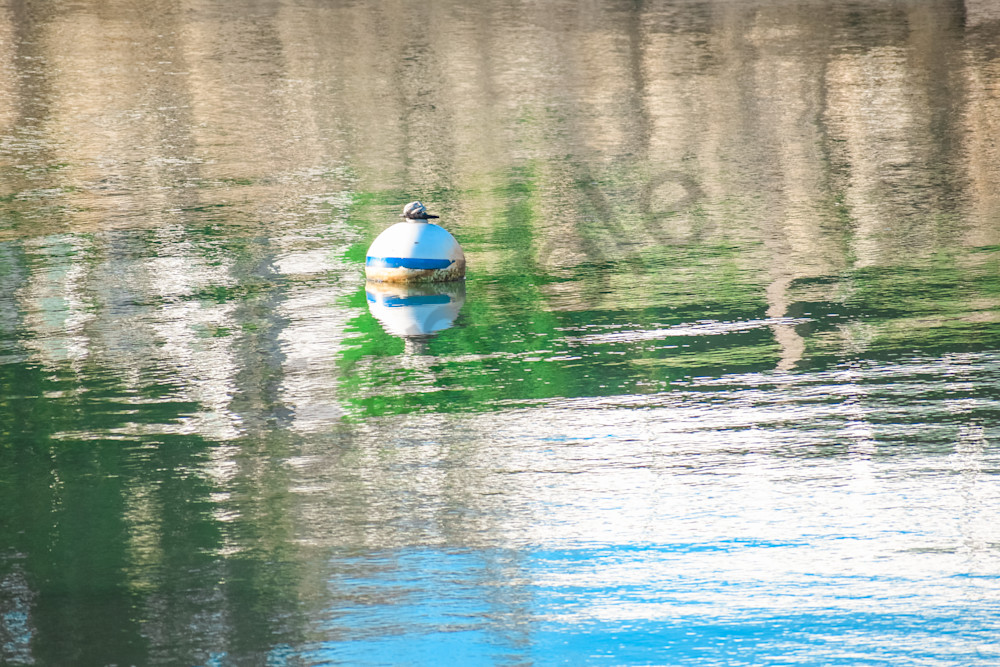 July 2025 226 Photography Art | Photos By Regan