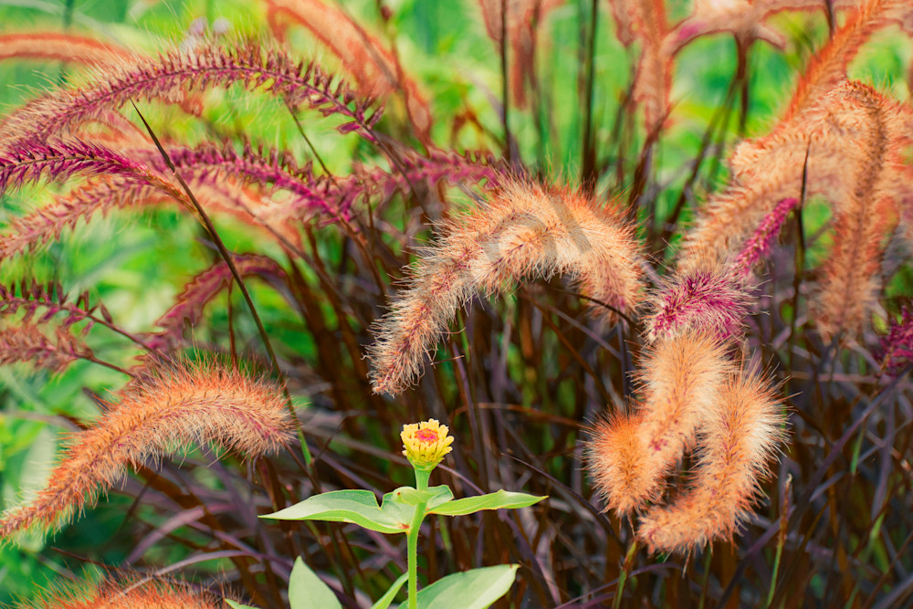 July 2025 989 Photography Art | Photos By Regan