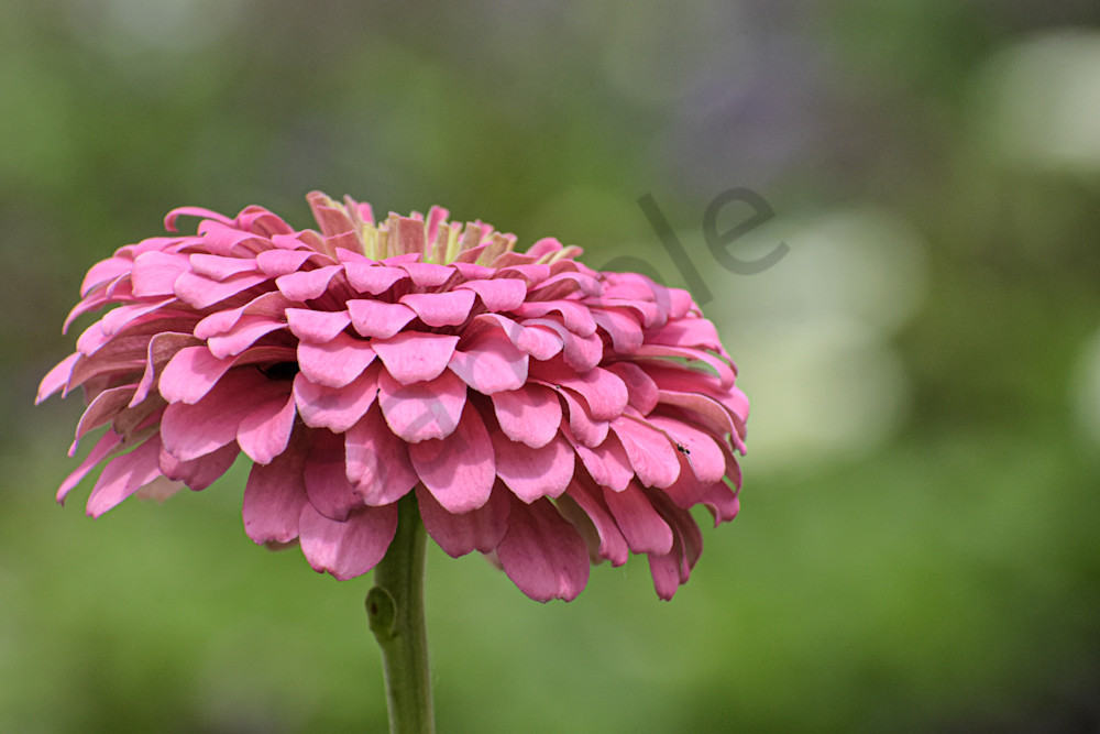 July 2025 997 Photography Art | Photos By Regan