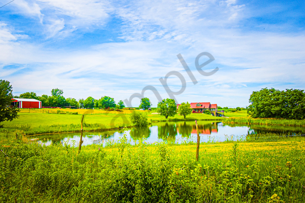 June 2025 18 Photography Art | Photos By Regan