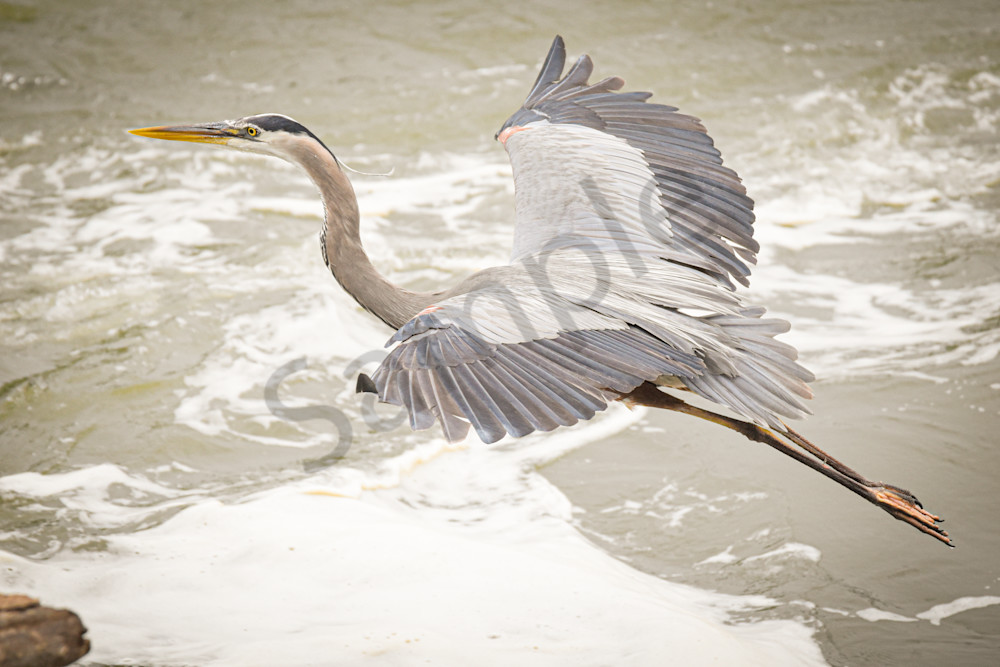 June 2025 268 Photography Art | Photos By Regan