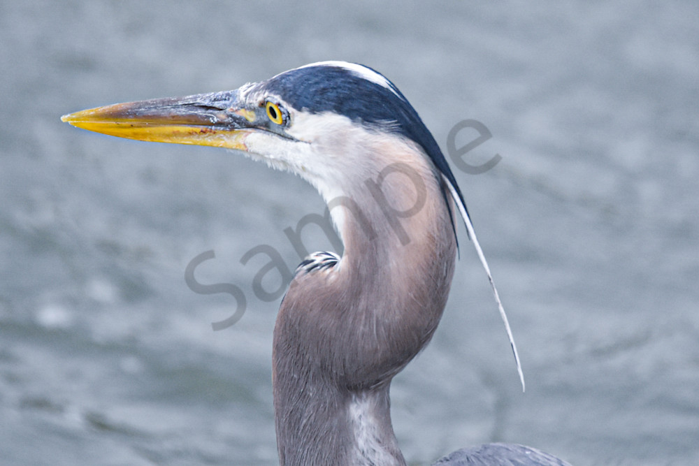 June 2025 322 Photography Art | Photos By Regan