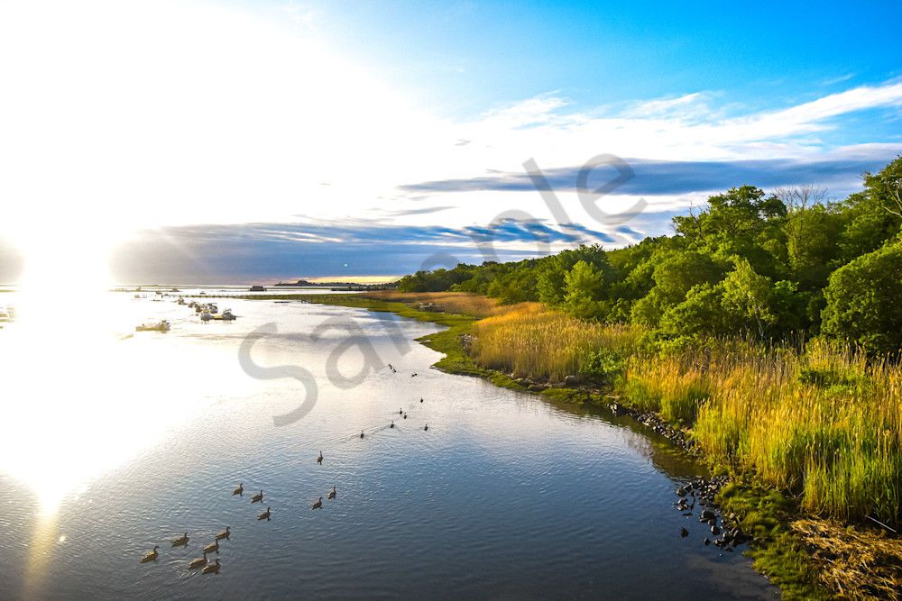 June 2025 544 Photography Art | Photos By Regan