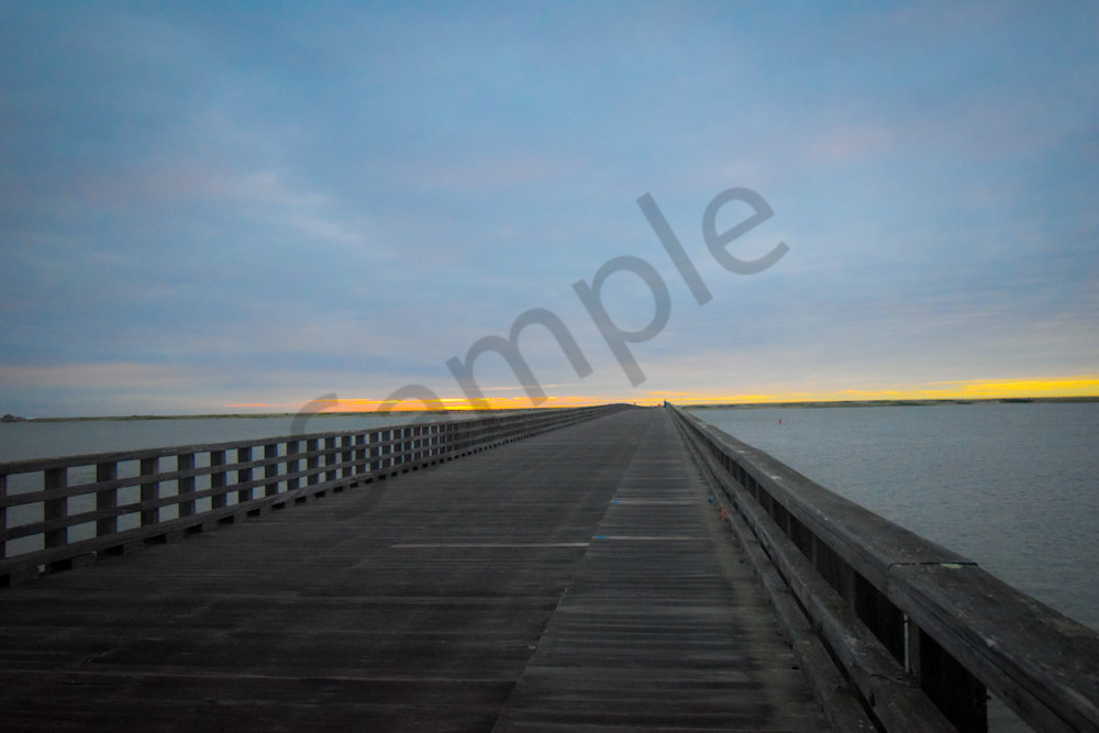 June 2025 685 Photography Art | Photos By Regan