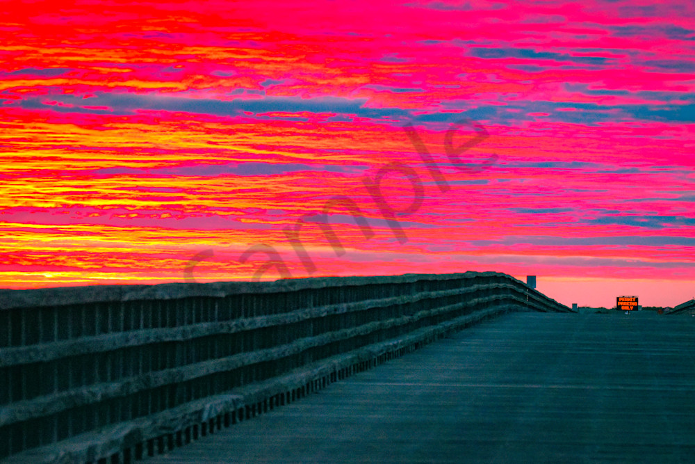 June 2025 733 Photography Art | Photos By Regan