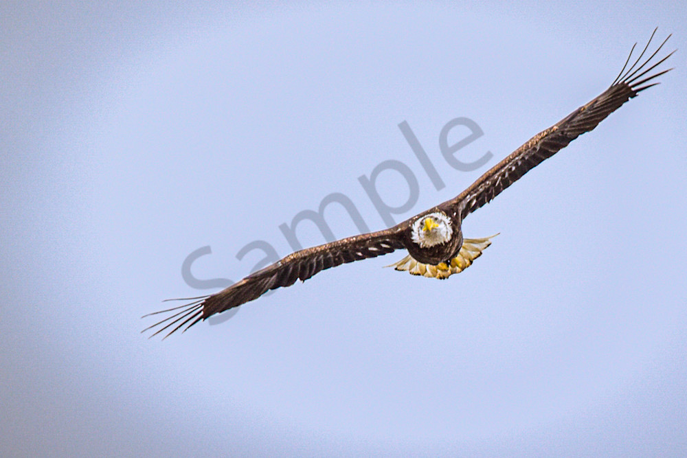 March 2025 93 Photography Art | Photos By Regan