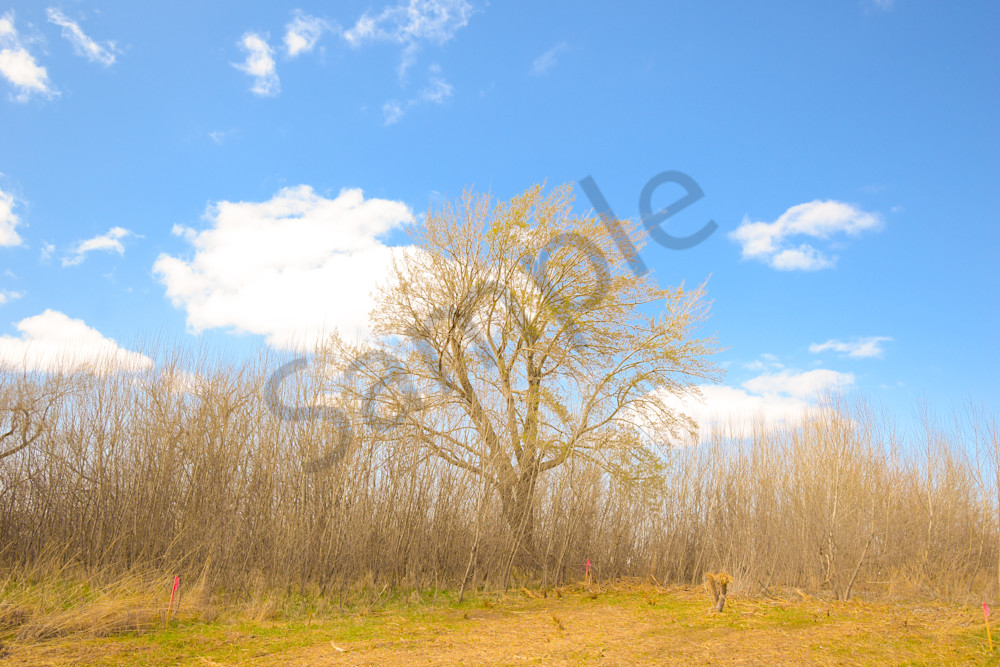 March 2025 10 Photography Art | Photos By Regan