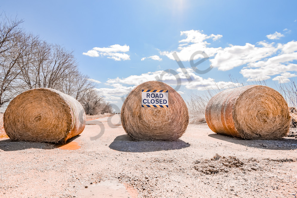 March 2025 2 Photography Art | Photos By Regan