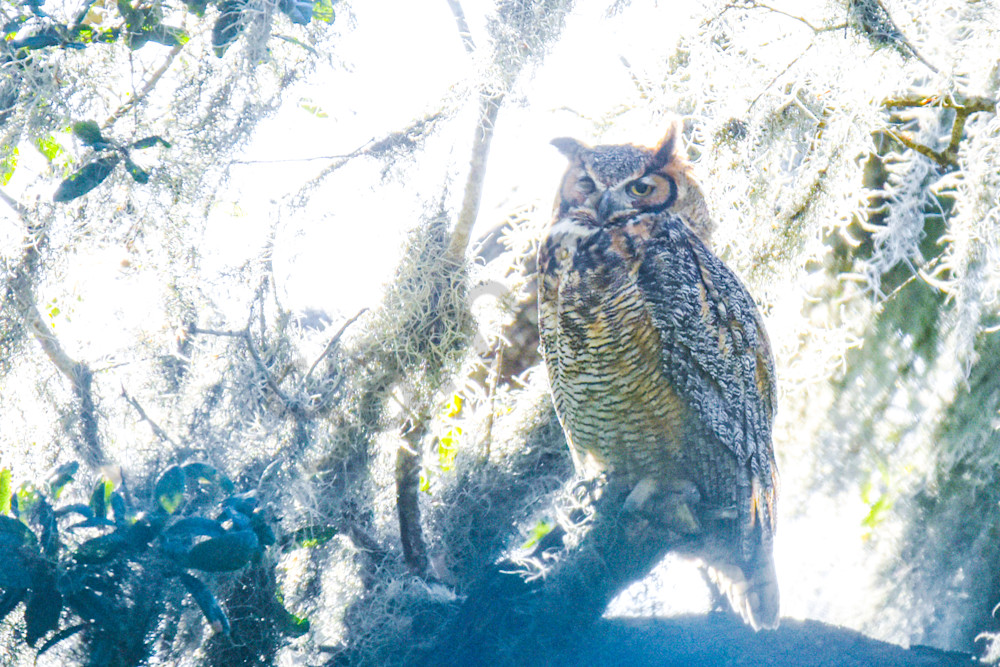 March 2025 227 Photography Art | Photos By Regan