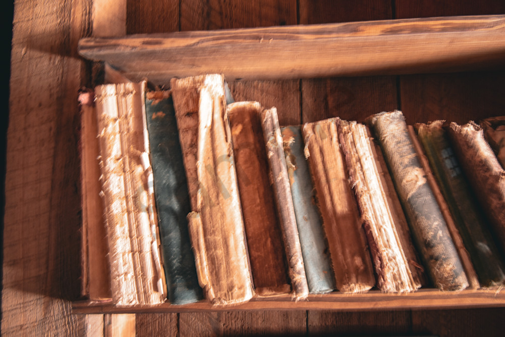 March 2025 234 Photography Art | Photos By Regan