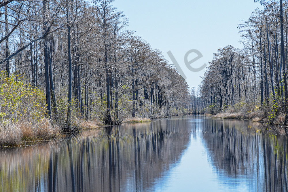 March 2025 291 Photography Art | Photos By Regan