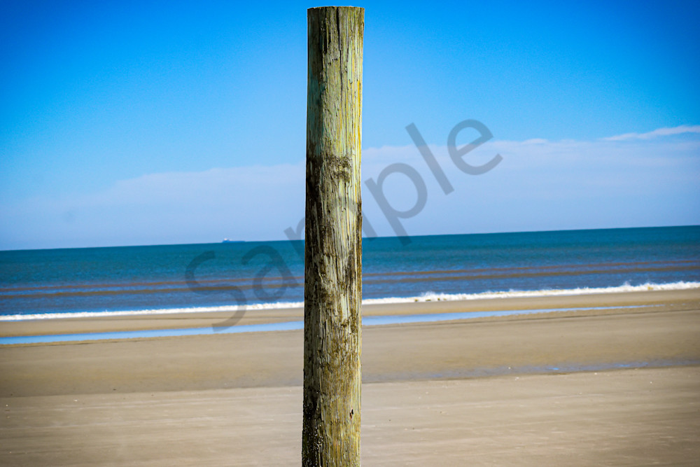 March 2025 389 Photography Art | Photos By Regan