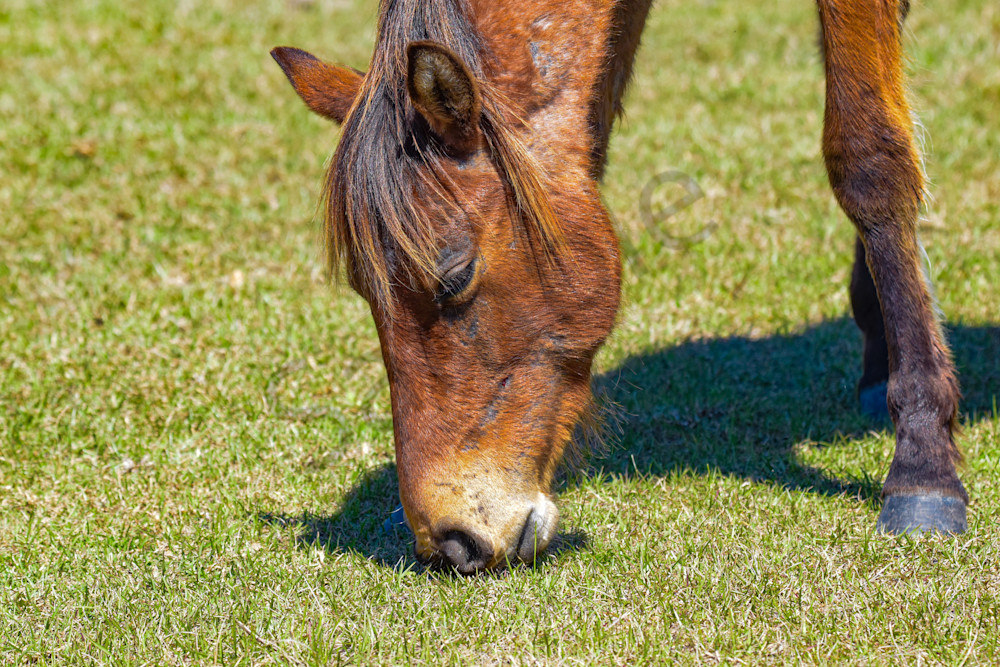 March 2025 432 Photography Art | Photos By Regan