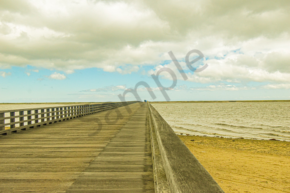 May 2025 5 Photography Art | Photos By Regan