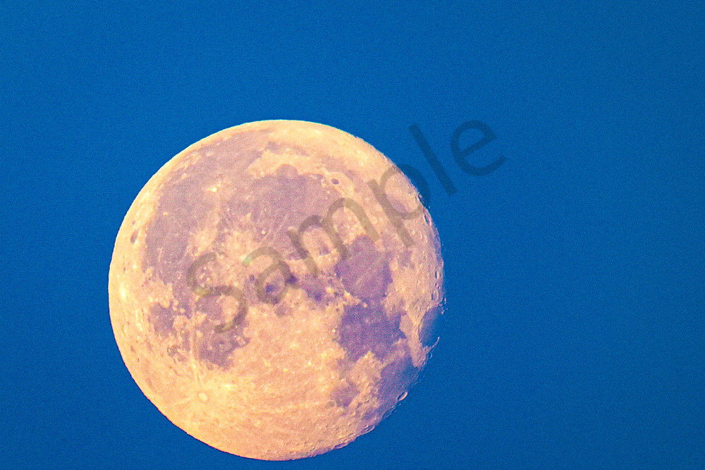 May 2025 130 Photography Art | Photos By Regan