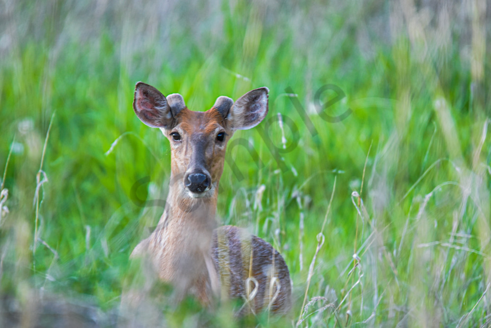 May 2025 135 Photography Art | Photos By Regan