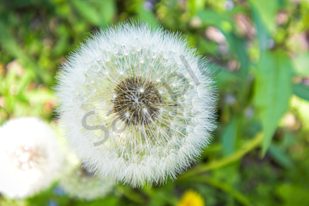 May 2025 150 Photography Art | Photos By Regan