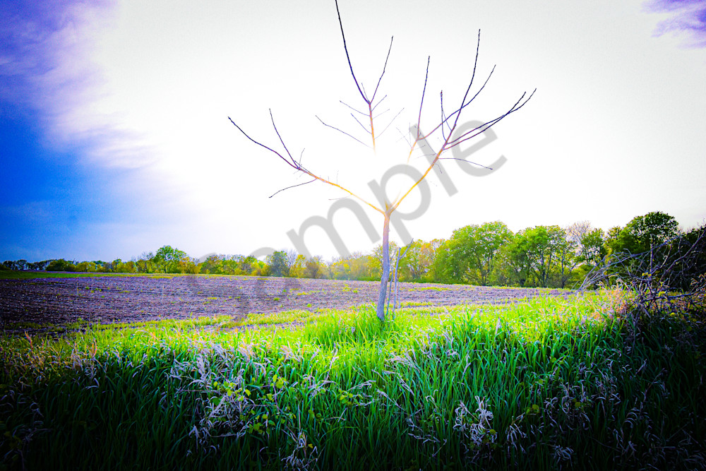 May 2025 156 Photography Art | Photos By Regan