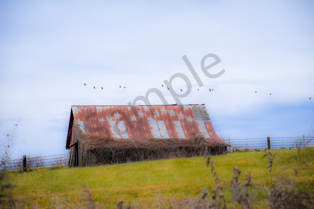 November 2025 46 Photography Art | Photos By Regan