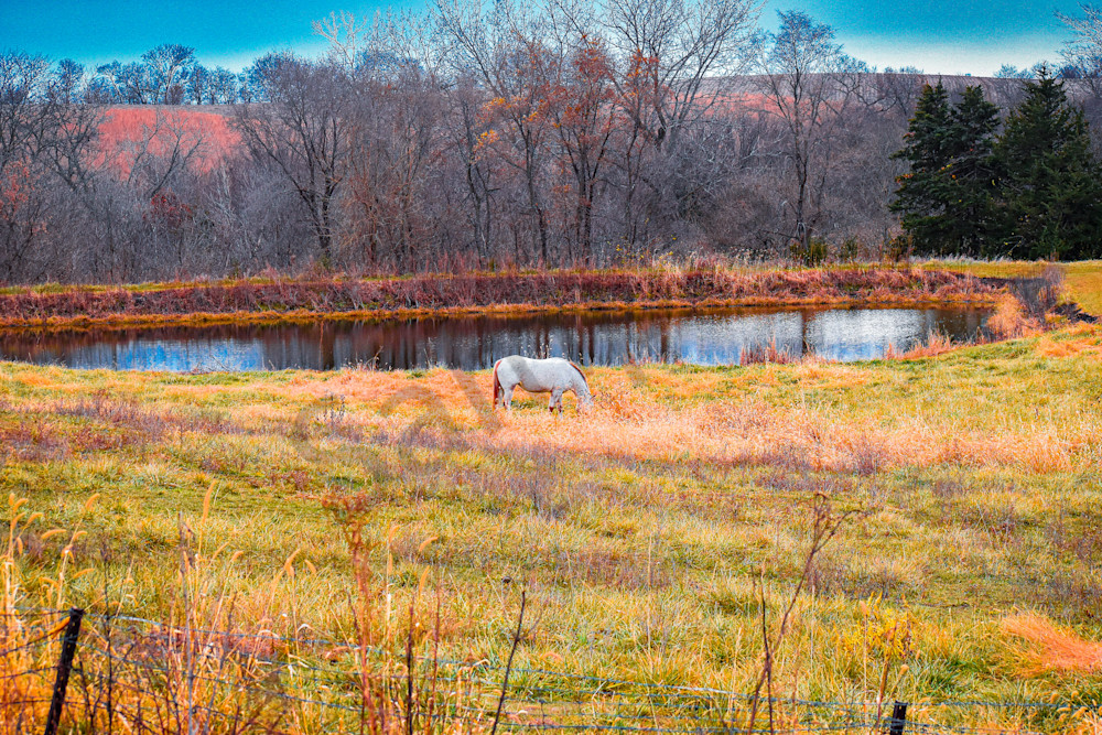 November 2025 74 Photography Art | Photos By Regan