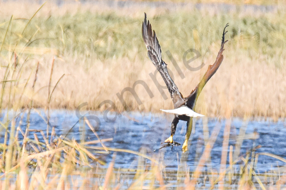 November 2025 161 Photography Art | Photos By Regan