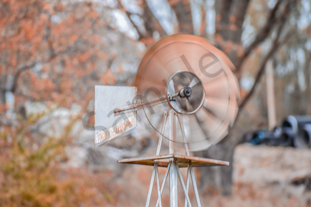 November 2025 204 Photography Art | Photos By Regan