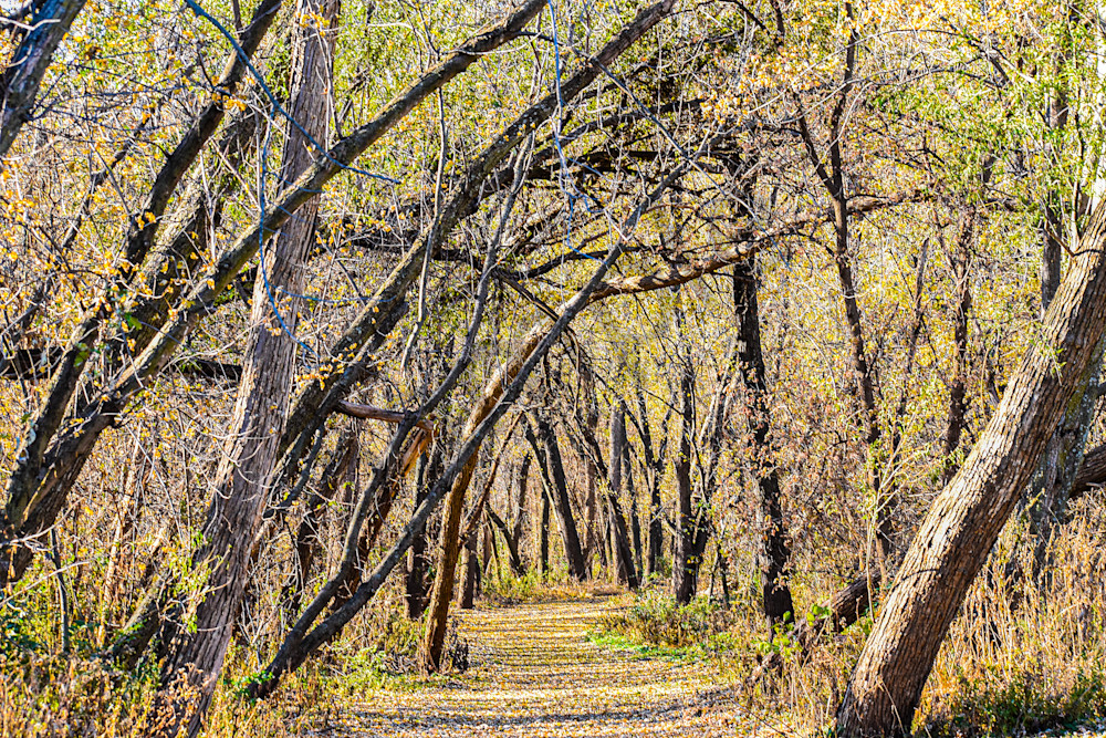 November 2025 151 Photography Art | Photos By Regan