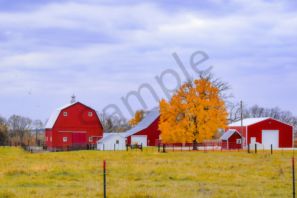 November 2025 210 Photography Art | Photos By Regan