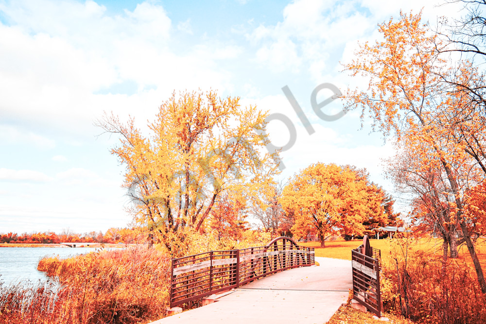 October 2025 21 Photography Art | Photos By Regan