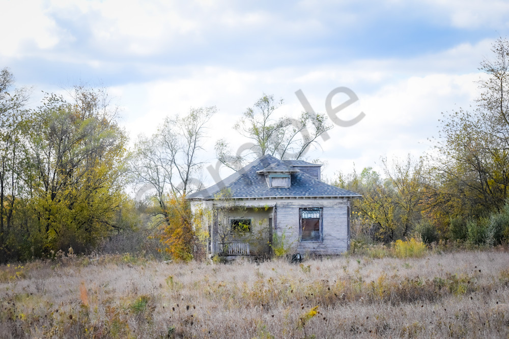 October 2025 47 Photography Art | Photos By Regan