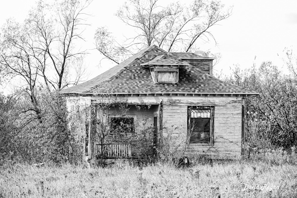 October 2025 45 Photography Art | Photos By Regan