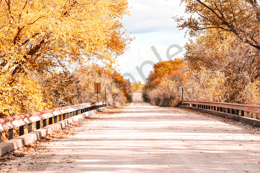 October 2025 50 Photography Art | Photos By Regan