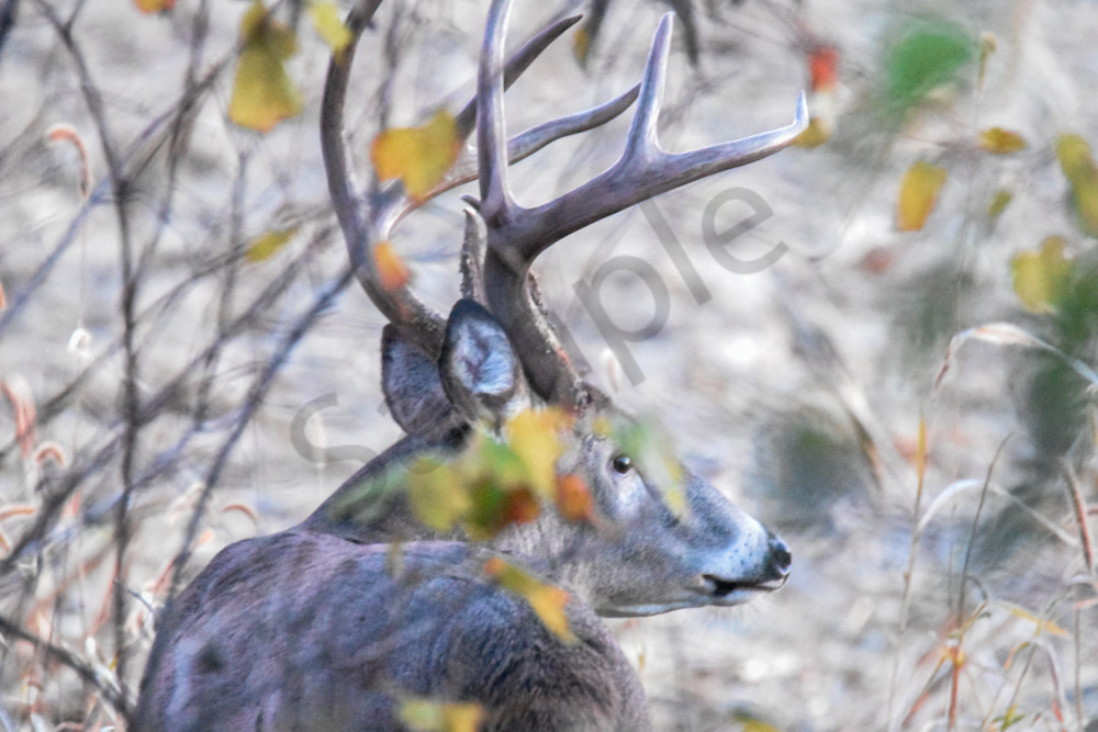 October 2025 183 Photography Art | Photos By Regan