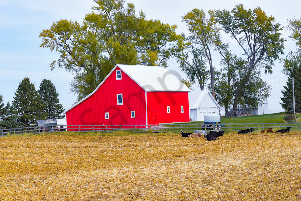 October 2025 196 Photography Art | Photos By Regan