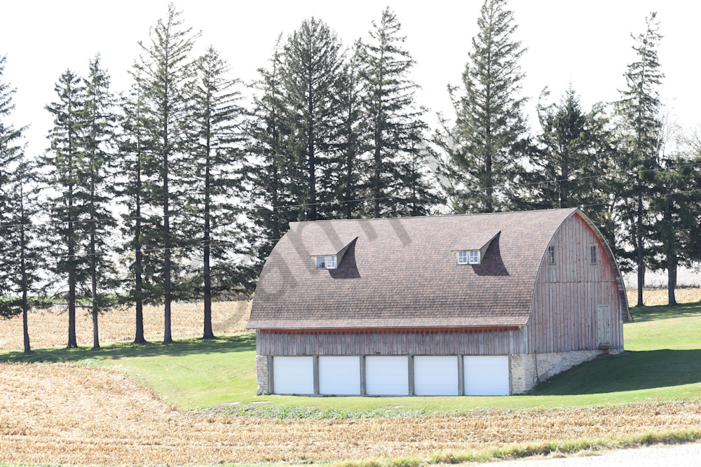 October 2025 261 Photography Art | Photos By Regan